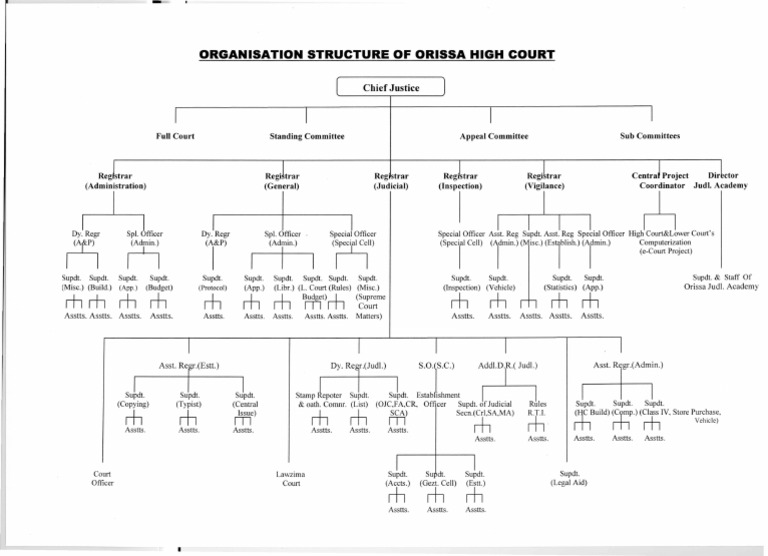 Orchart 1 | PDF