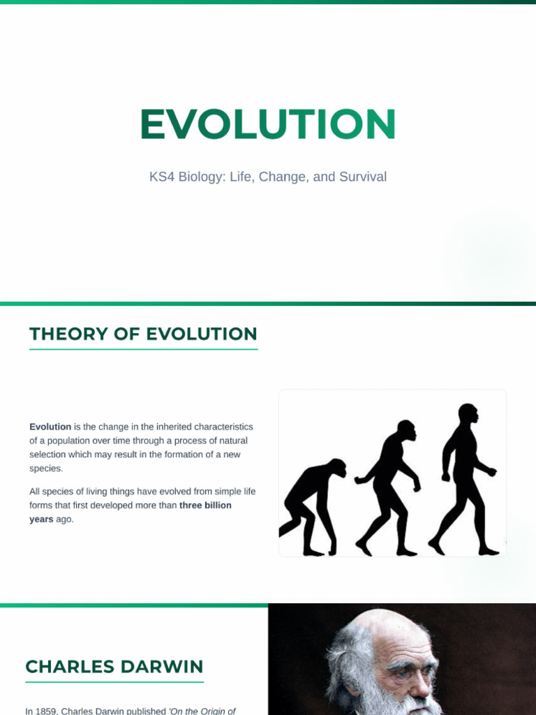 Evolution - KS4 Biology | PDF