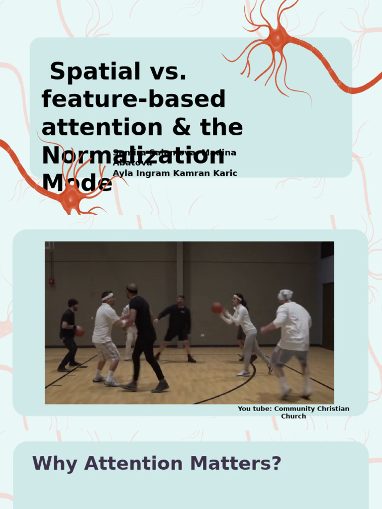 Spatial vs. Feature-Based Attention & The Normalization Mode | PDF ...