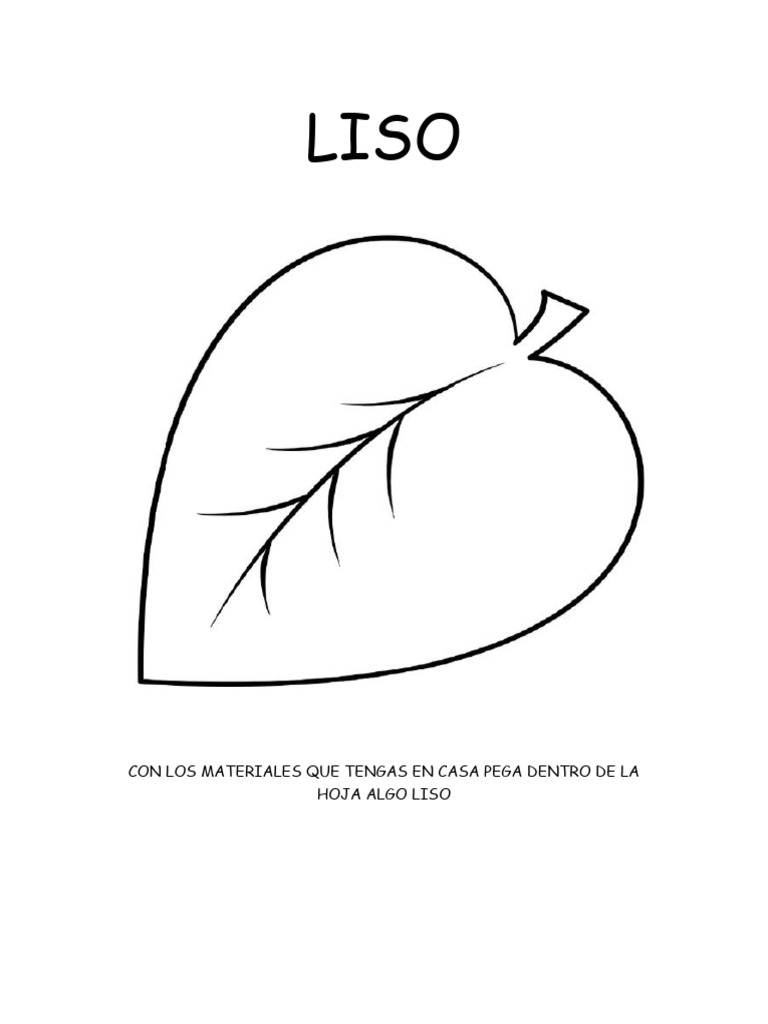 LISO | PDF