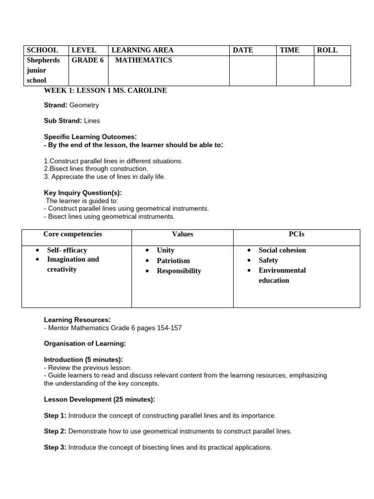 Grade 6 Mathematics Lesson Plans Term 3 | PDF | Learning | Mentorship