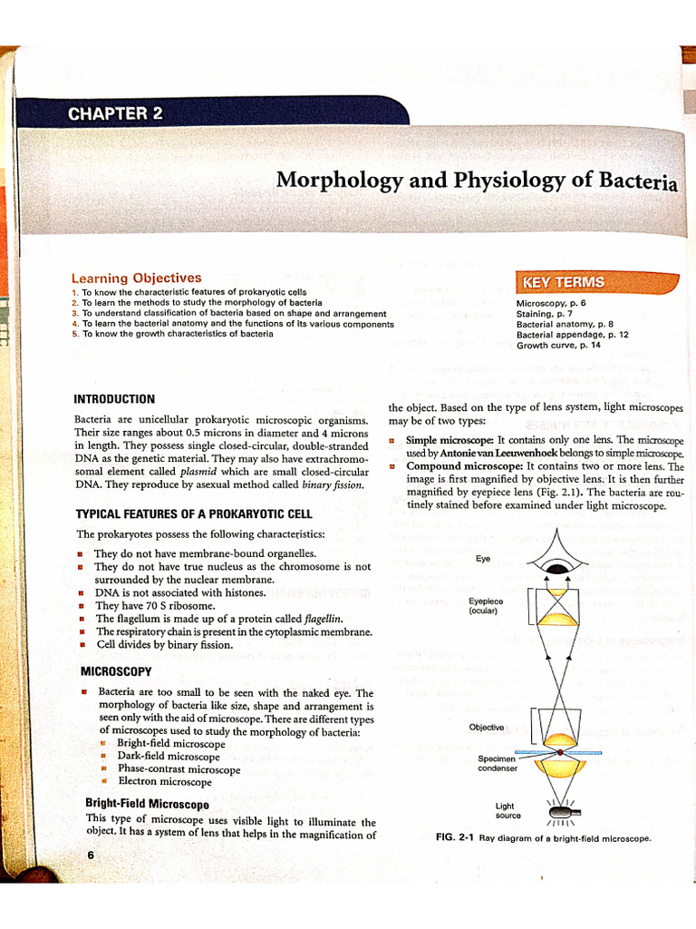 Staining Microbiology | PDF