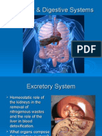 Excretory System & Digestive