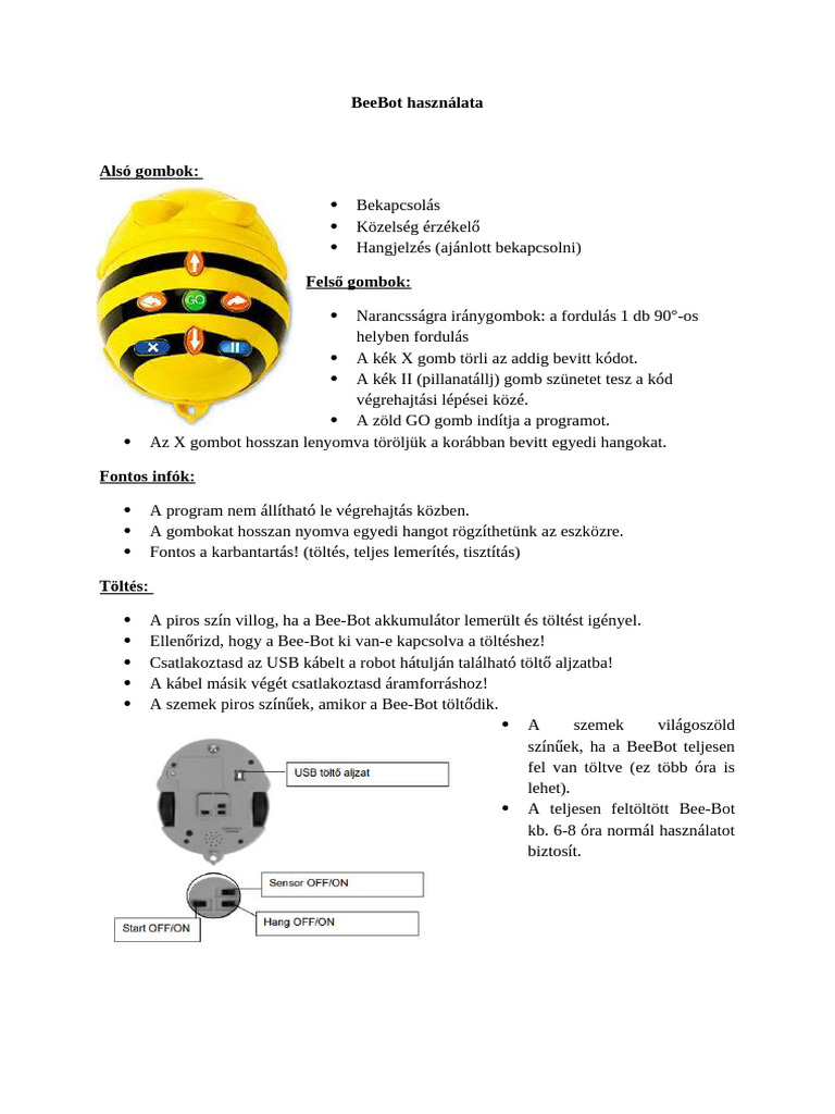 Bee Bot | PDF