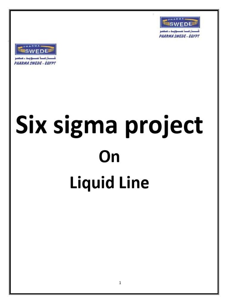 Abdelrahman - LSSBB Project | PDF