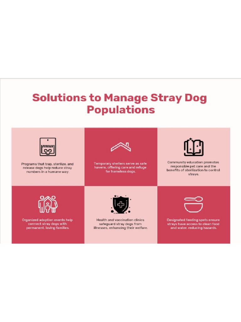 Solution For The Stray Dogs Issues-1-8 - Split | PDF