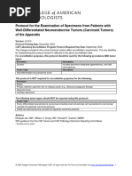 CAP Protocol for Ureter/Renal Carcinoma | PDF | Carcinoma | Kidney