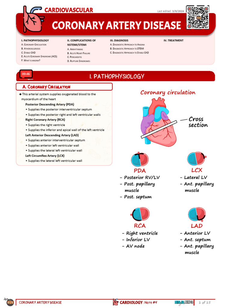 4 - Coronary Artery Disease (Notes) | PDF | Myocardial Infarction ...