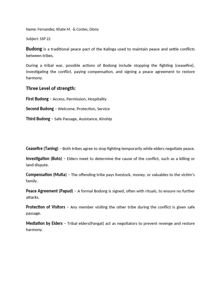 Budong | PDF