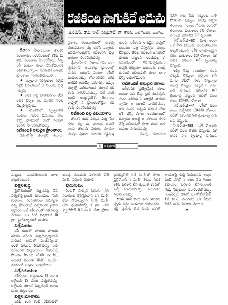 Anna 06 | PDF