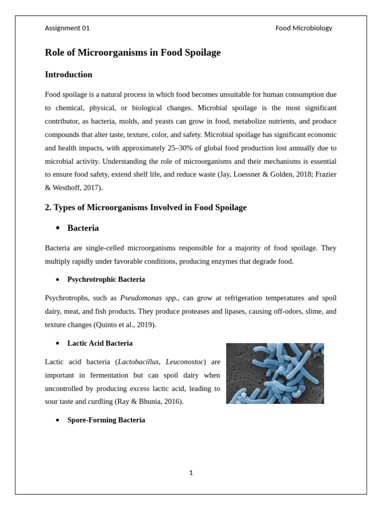 Role of Microorganisms in Food Spoilage | PDF | Microorganism | Mold