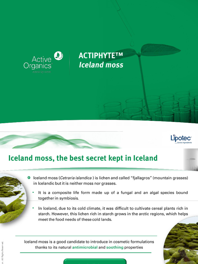 P-Actiphyte Iceland Moss | PDF