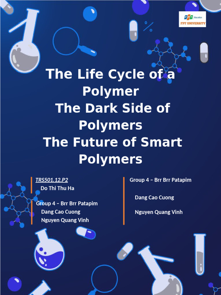 The Life Cycle of A Polymer | PDF | Polymers | Plastic