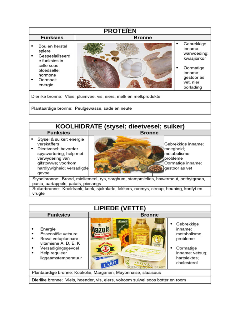 Voedingstowwe | PDF