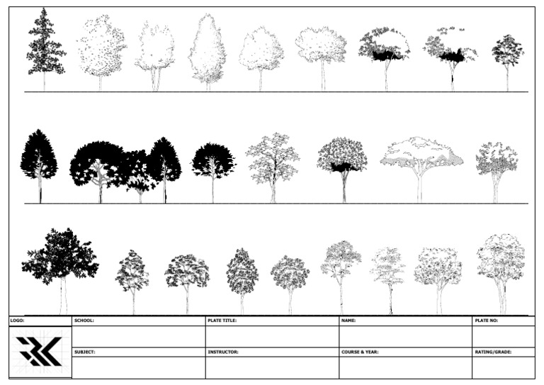 Trees | PDF