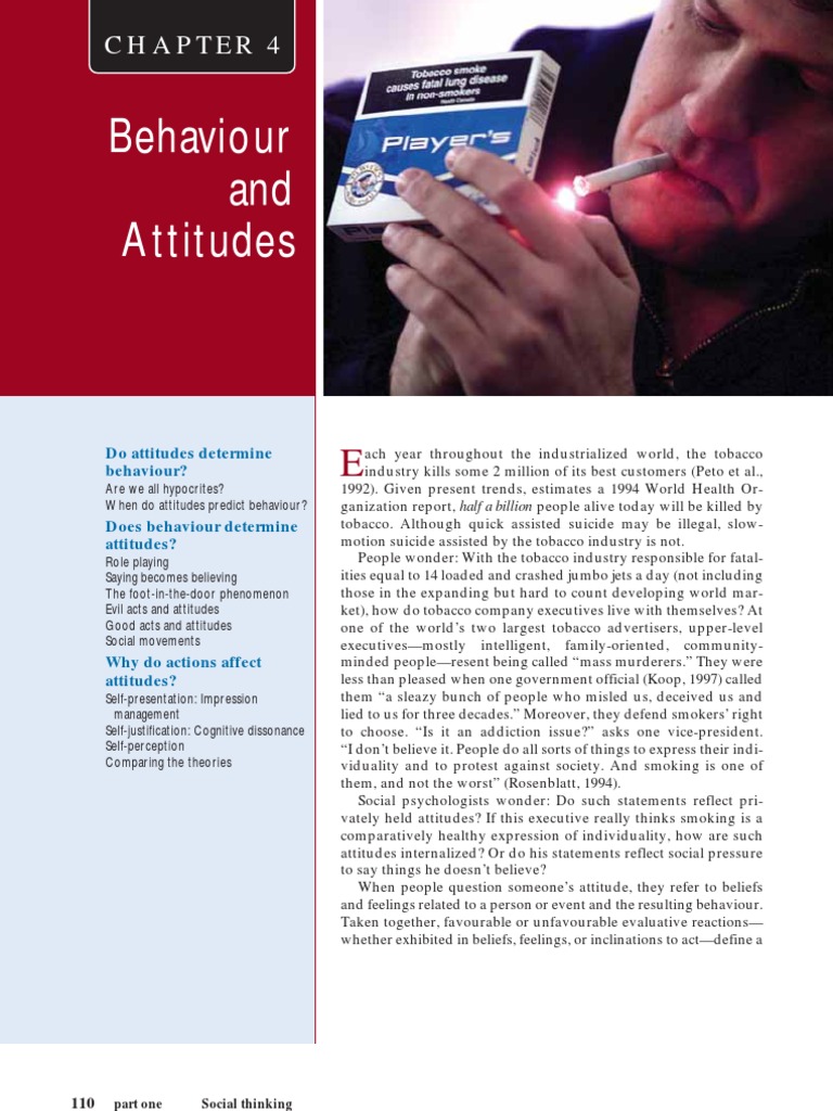BAV and VAB | PDF | Attitude (Psychology) | Social Psychology