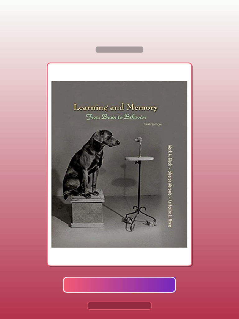 Learning and Memory 3rd Edition E-book Testbank Solutions | PDF ...