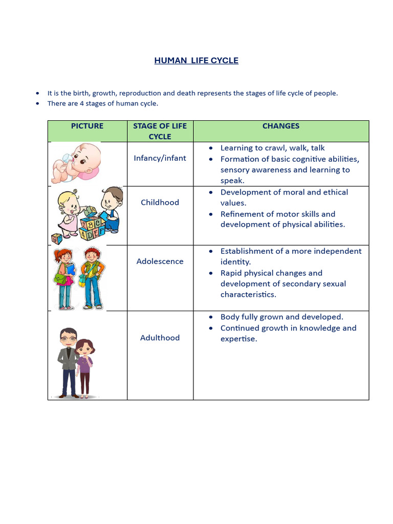Human Life Cycle | PDF