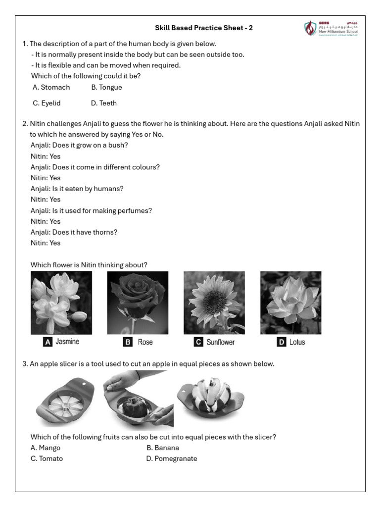 Skill Based Practice Sheet - 2 | PDF