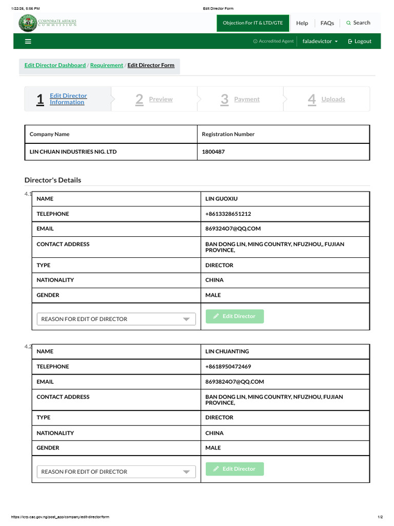 Edit Director Form - Linchuan | PDF