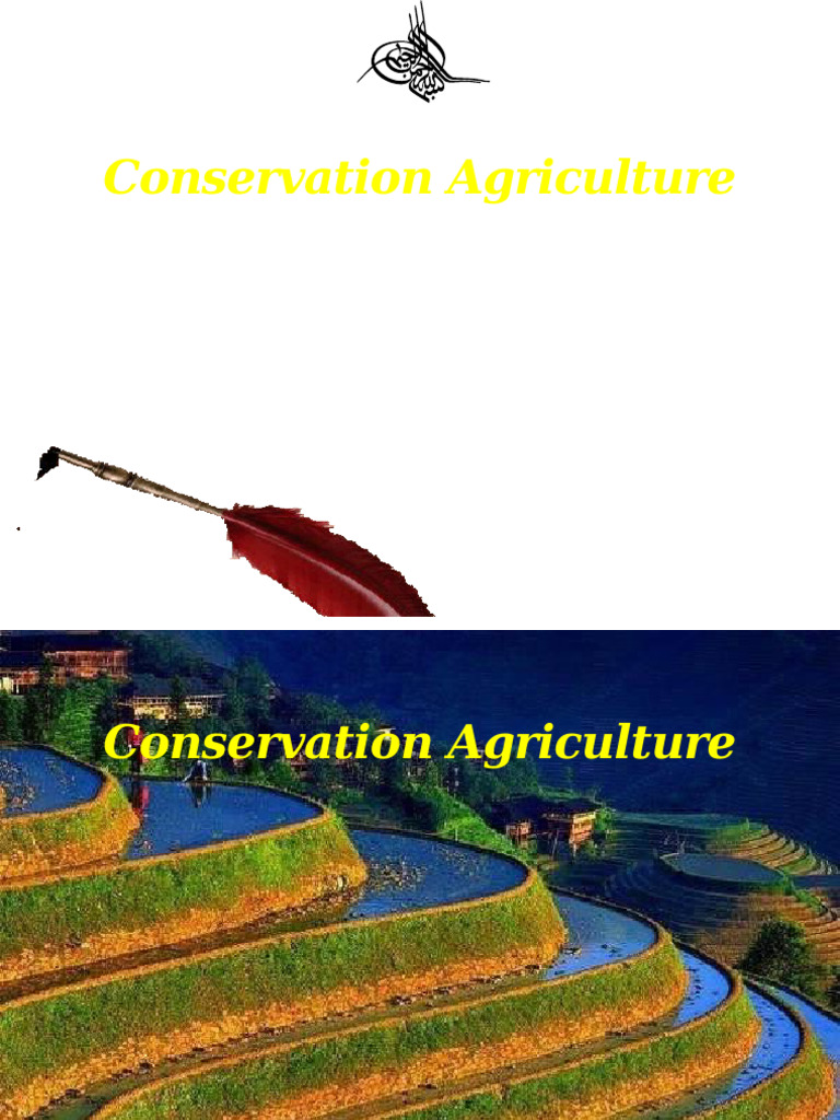 Conservation Agriculture | PDF | Agriculture | Sustainable Agriculture