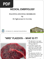 Understanding Placenta Marginata | PDF | Placenta | Human Pregnancy