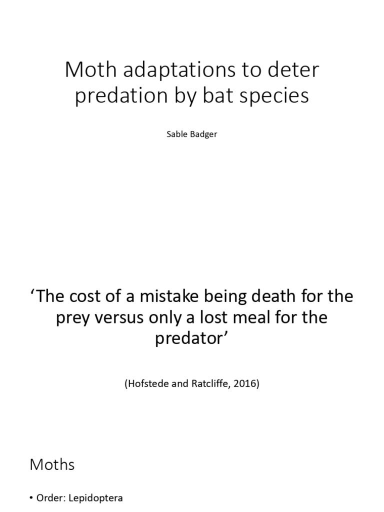 Moth Adaptations To Deter Predation by Bat Species | PDF