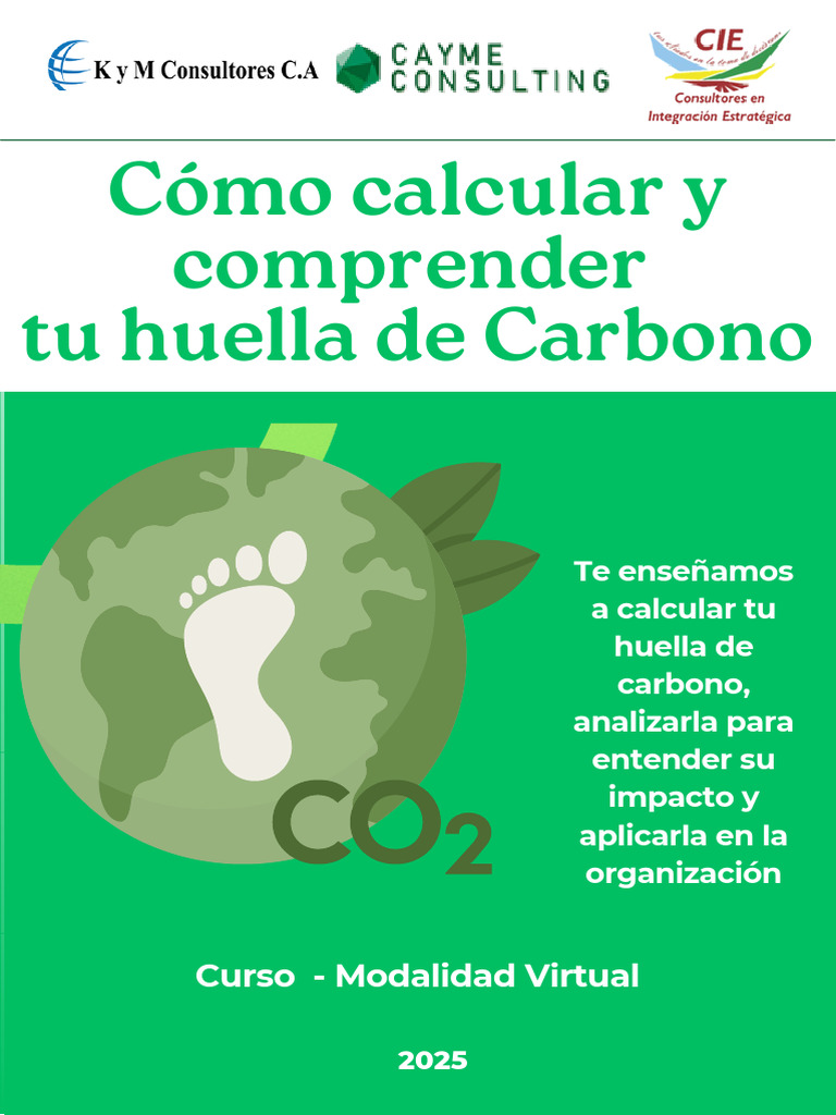 Cómo Calcular y Comprender Tu Huella de Carbono 2025 | PDF | Huella de ...
