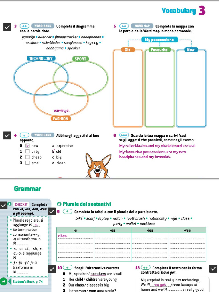 Exercises - My Things! | PDF
