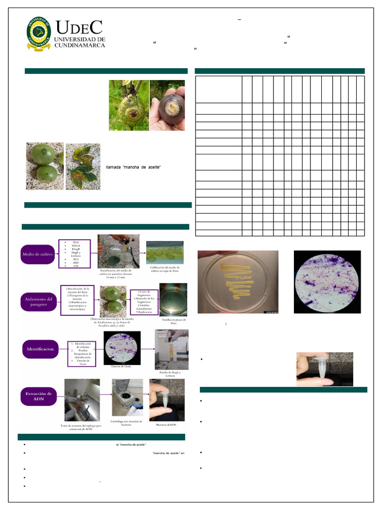 POSTER AISLAMIENTO BACTERIAS | PDF | Las bacterias | Biología