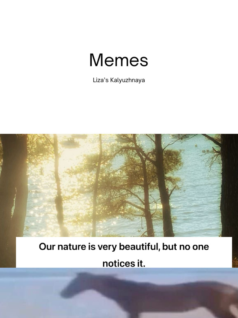 Memes | PDF