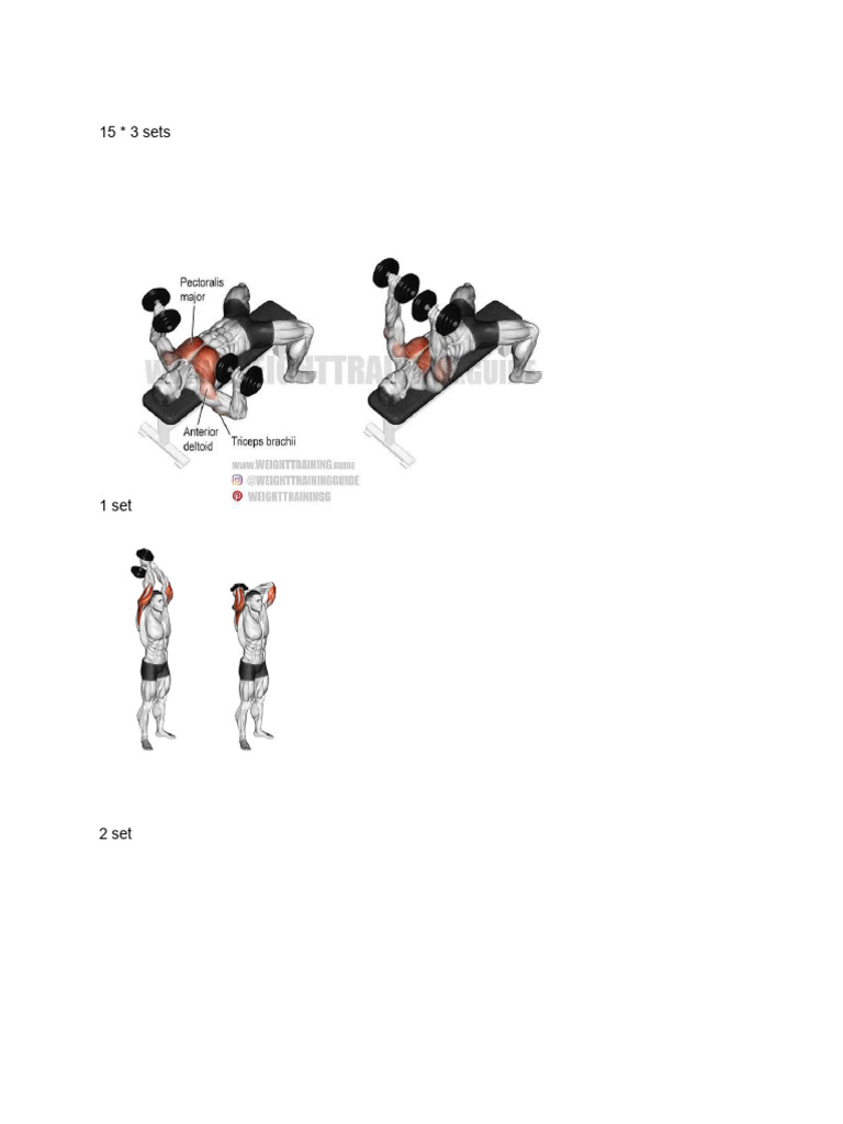 Chest and Triceps | PDF