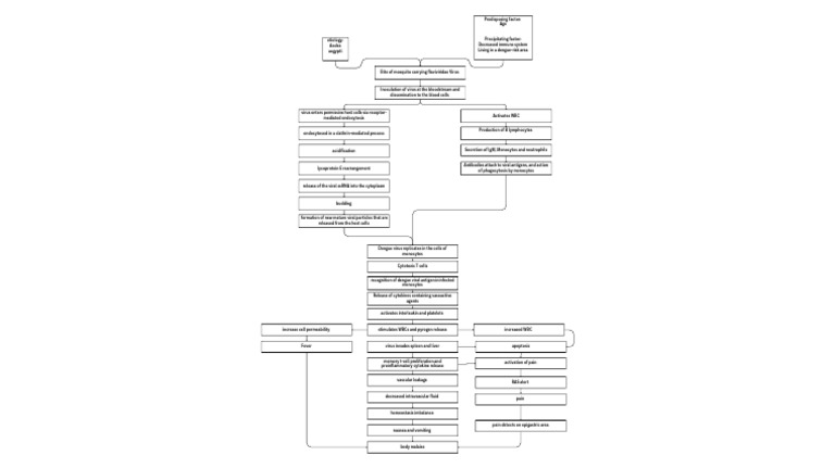 DF Pathophysiology | PDF | White Blood Cell | Monocyte