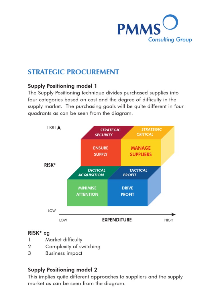 Supply Positioning Model Explained | PDF