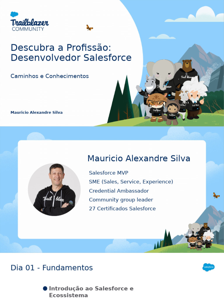Profissão Desenvolvedor Salesforce - 01 | PDF