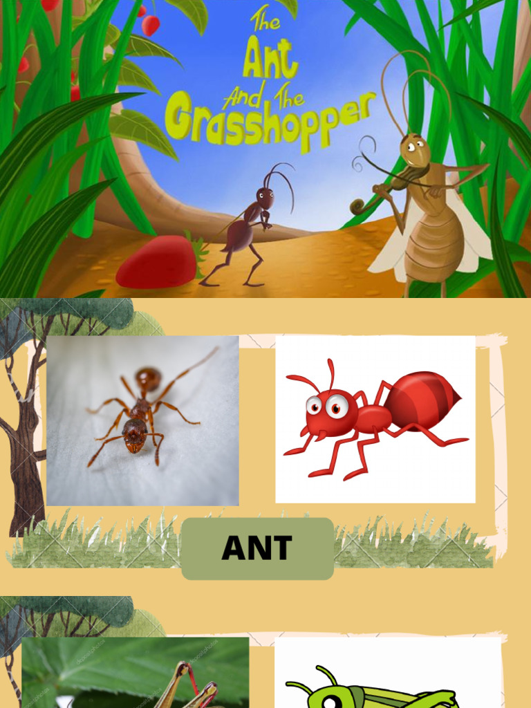 Ant | PDF