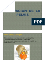 Inervacion de La Pelvis