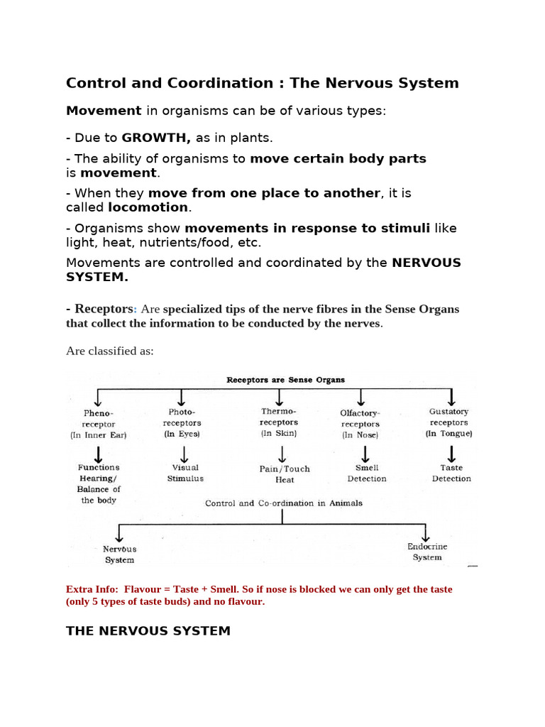 Control and Coordination Notes | PDF | Central Nervous System | Neuron