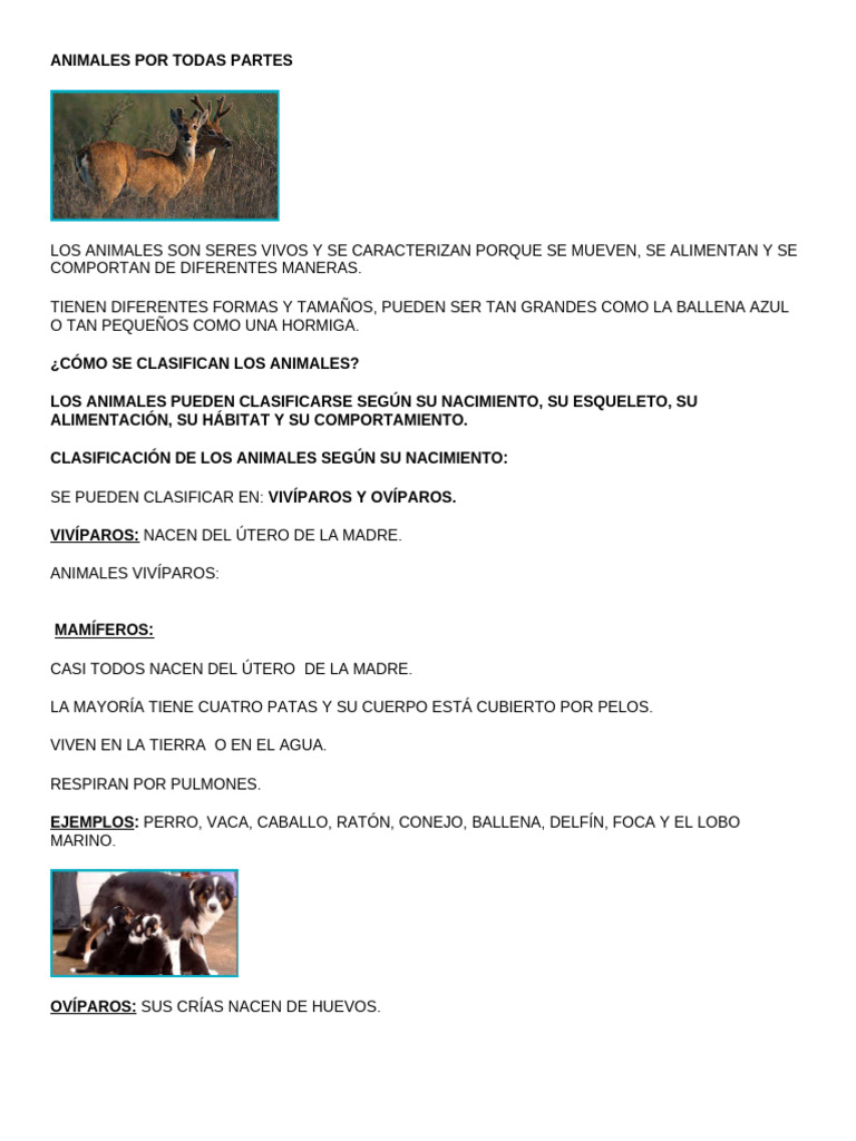Animales Por Todas Partes | PDF | Huevo | Esqueleto