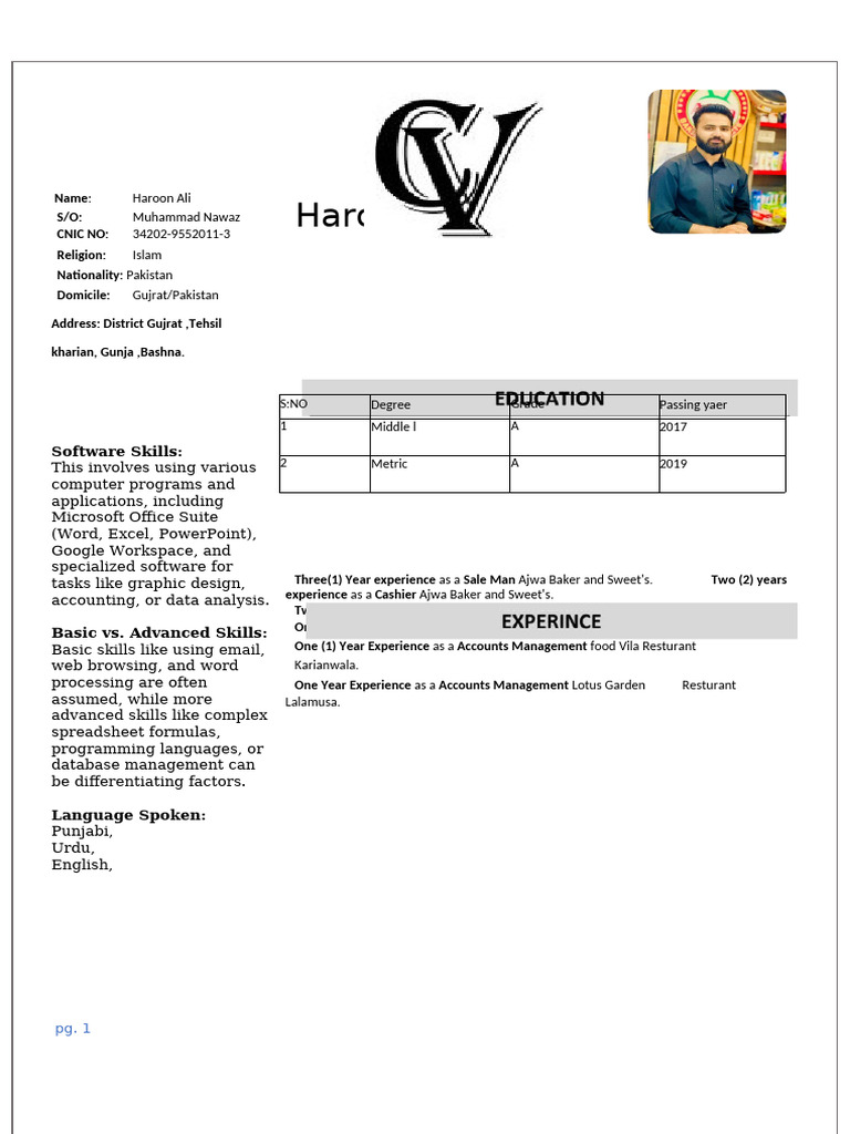 Haroon CV | PDF
