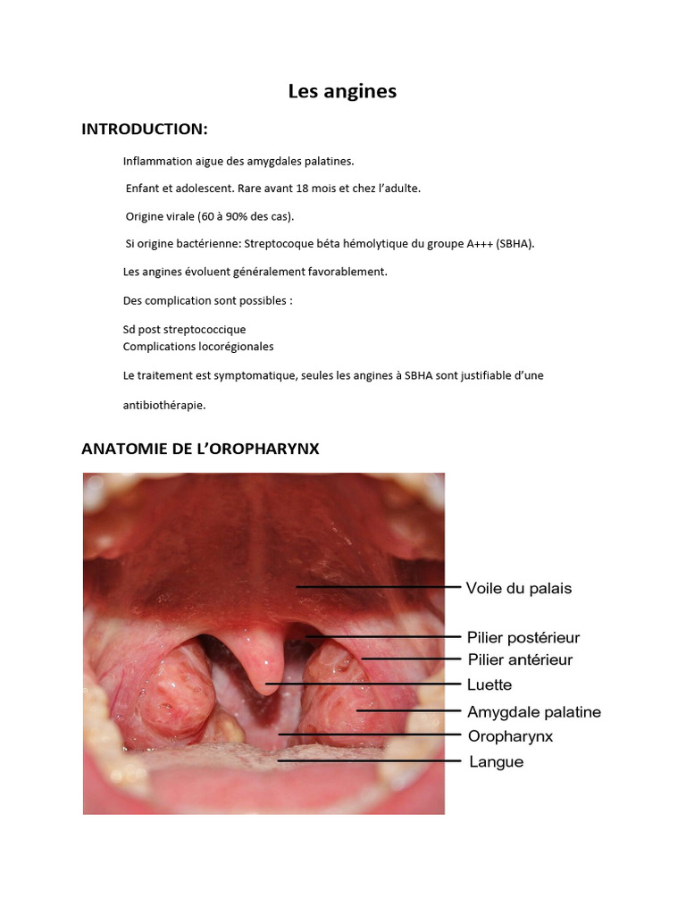 5 - Les Angines 2021 | PDF | Spécialités médicales | Maladies et troubles