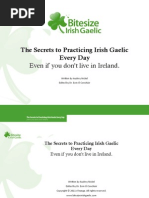 Download Secrets to Practicing Irish Gaelic by Amerika Sykes SN98771802 doc pdf