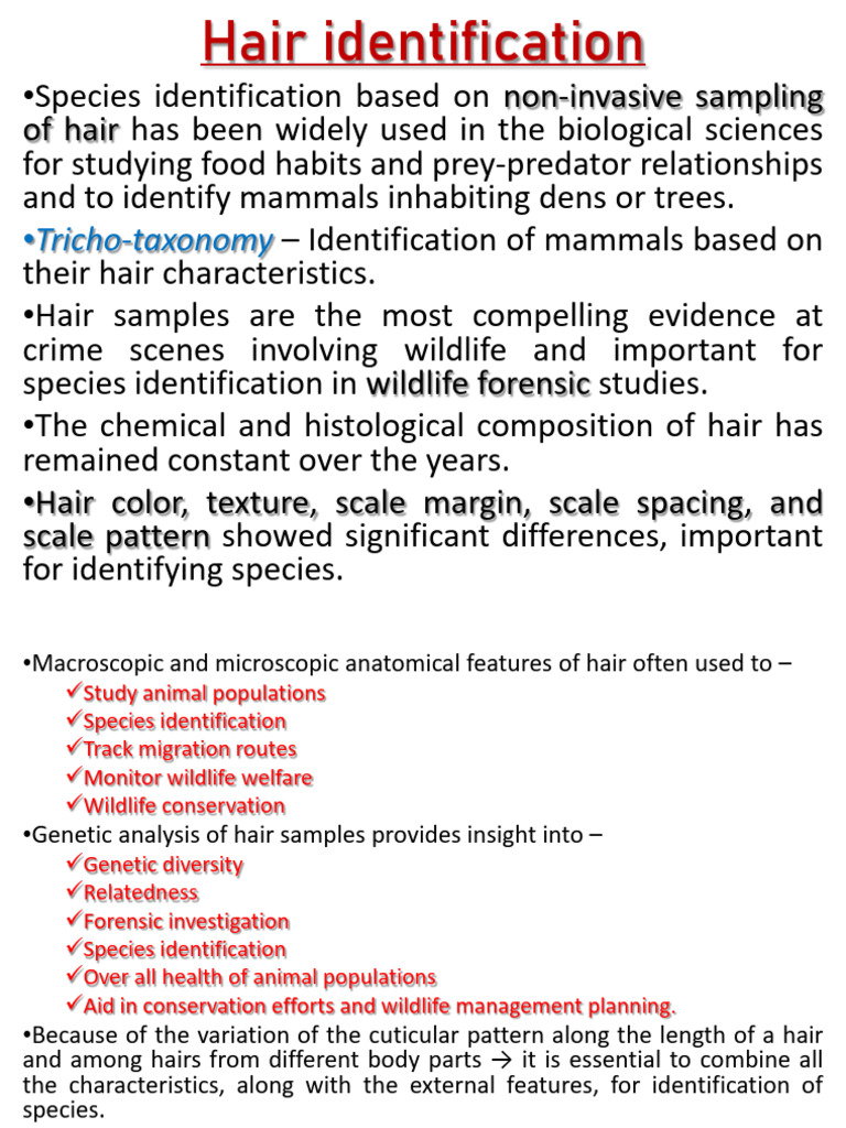 Hair Identification 092750 | PDF | Hair