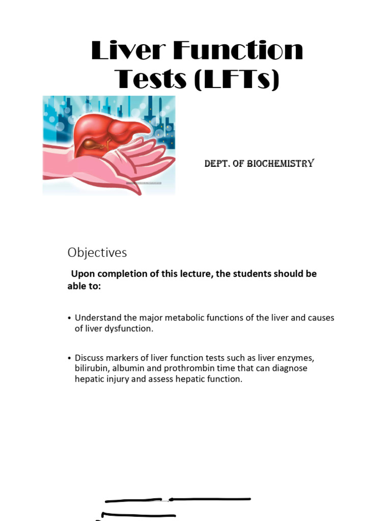 Liver Function (1) | PDF | Liver | Hepatitis