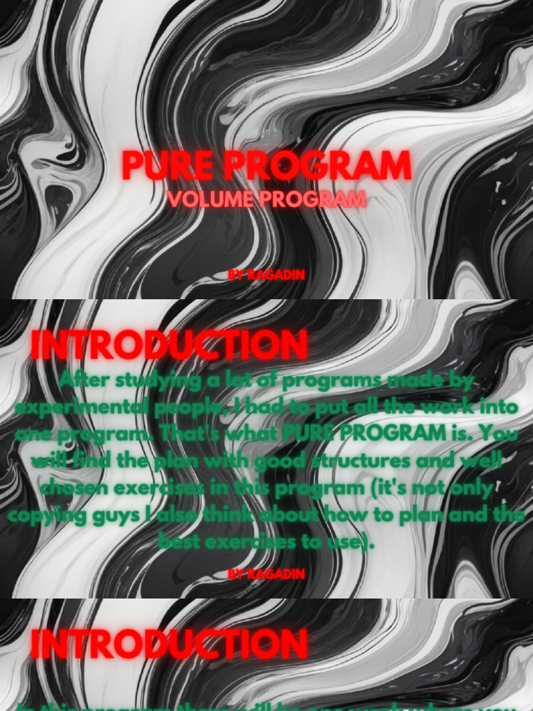 Pure Program - By Ragadin | PDF