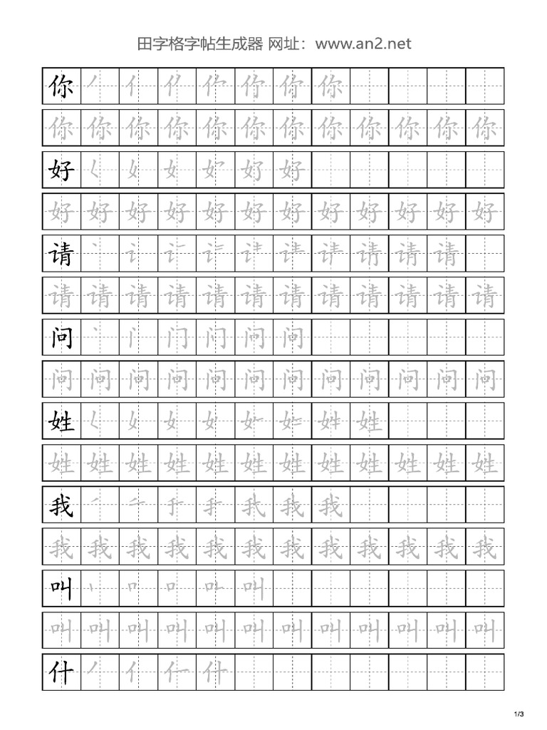 A2 L1 3 Pages | PDF