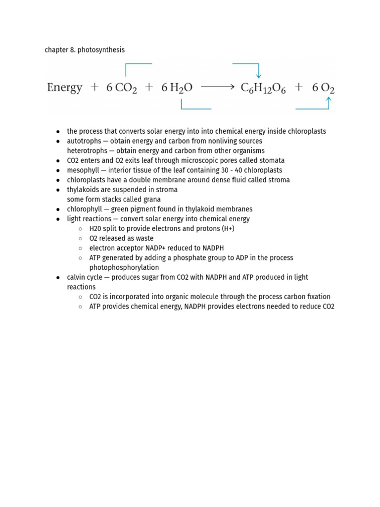 CH 8. Photosynthesis | PDF