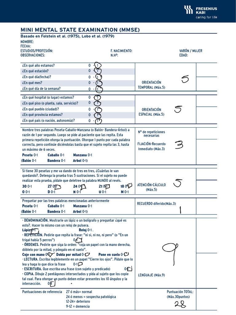 Mini Mental | PDF