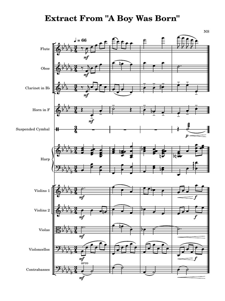 Extract From a Boy Was Born | PDF | Musical Instruments | Orchestral Music
