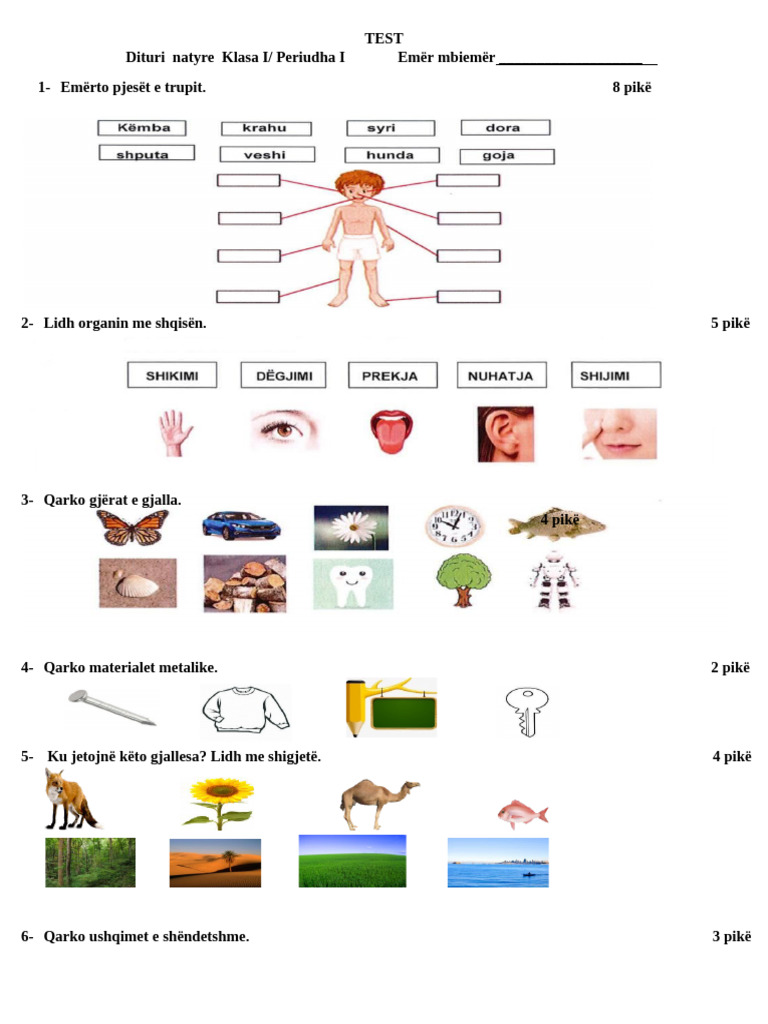 Test Dituri Natyre 1 Periudha 1 OK | PDF